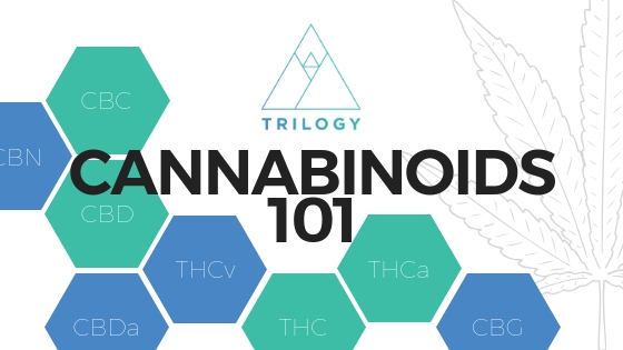 Cannabinoids 101