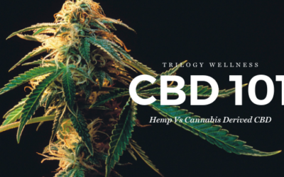 CBD 101- Hemp vs Cannabis derived CBD
