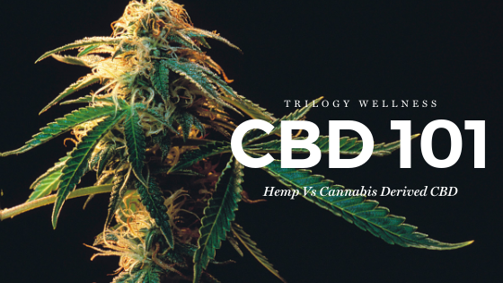 CBD 101- Hemp vs Cannabis derived CBD