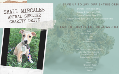 Animal Shelter Drive- Small Miracles