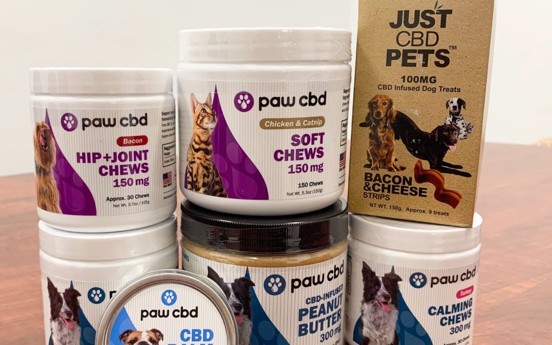 Natural Relief For Your Pet – Pets and CBD