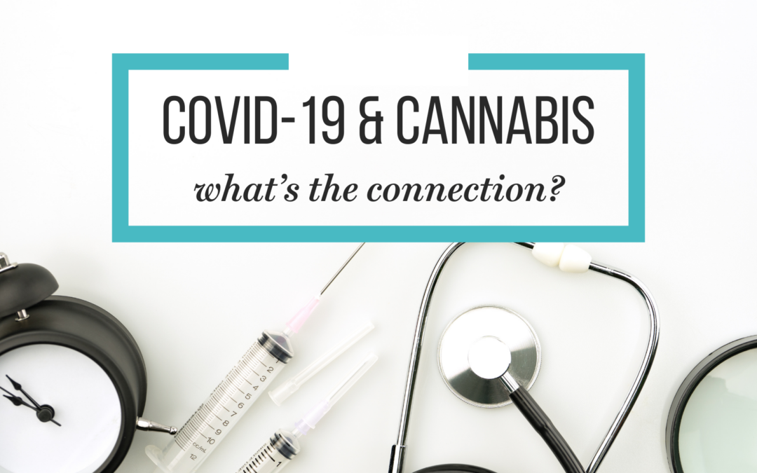 Scientists say cannabis could help treat Covid-19 and those with ‘long-covid’