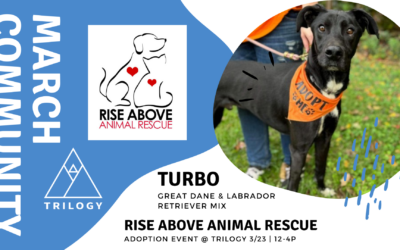 Trilogy asks customers to ‘Rise Up’ this month to support local animal shelter