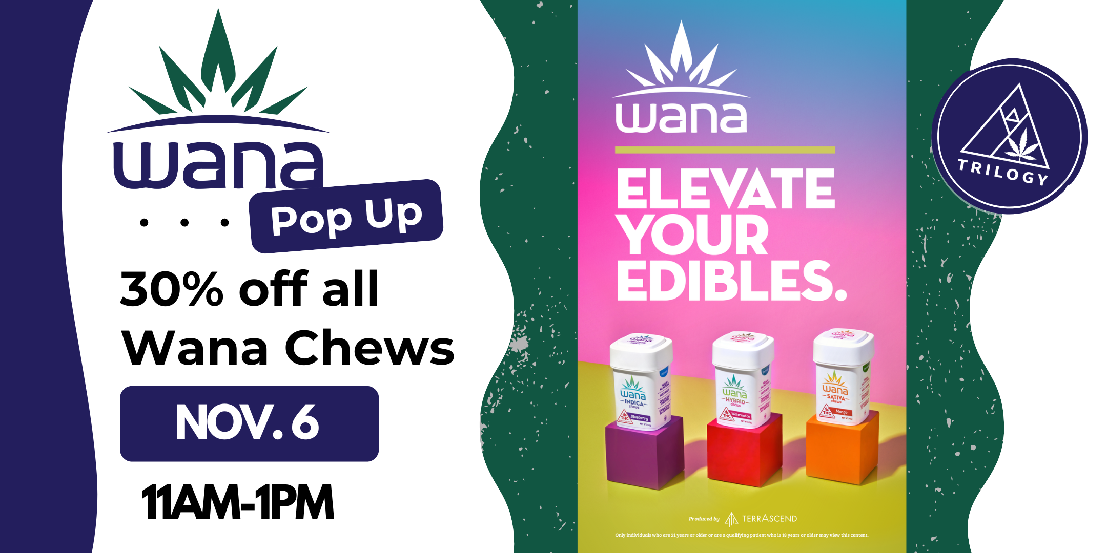 wana pop up nov 6 11am - 1pm