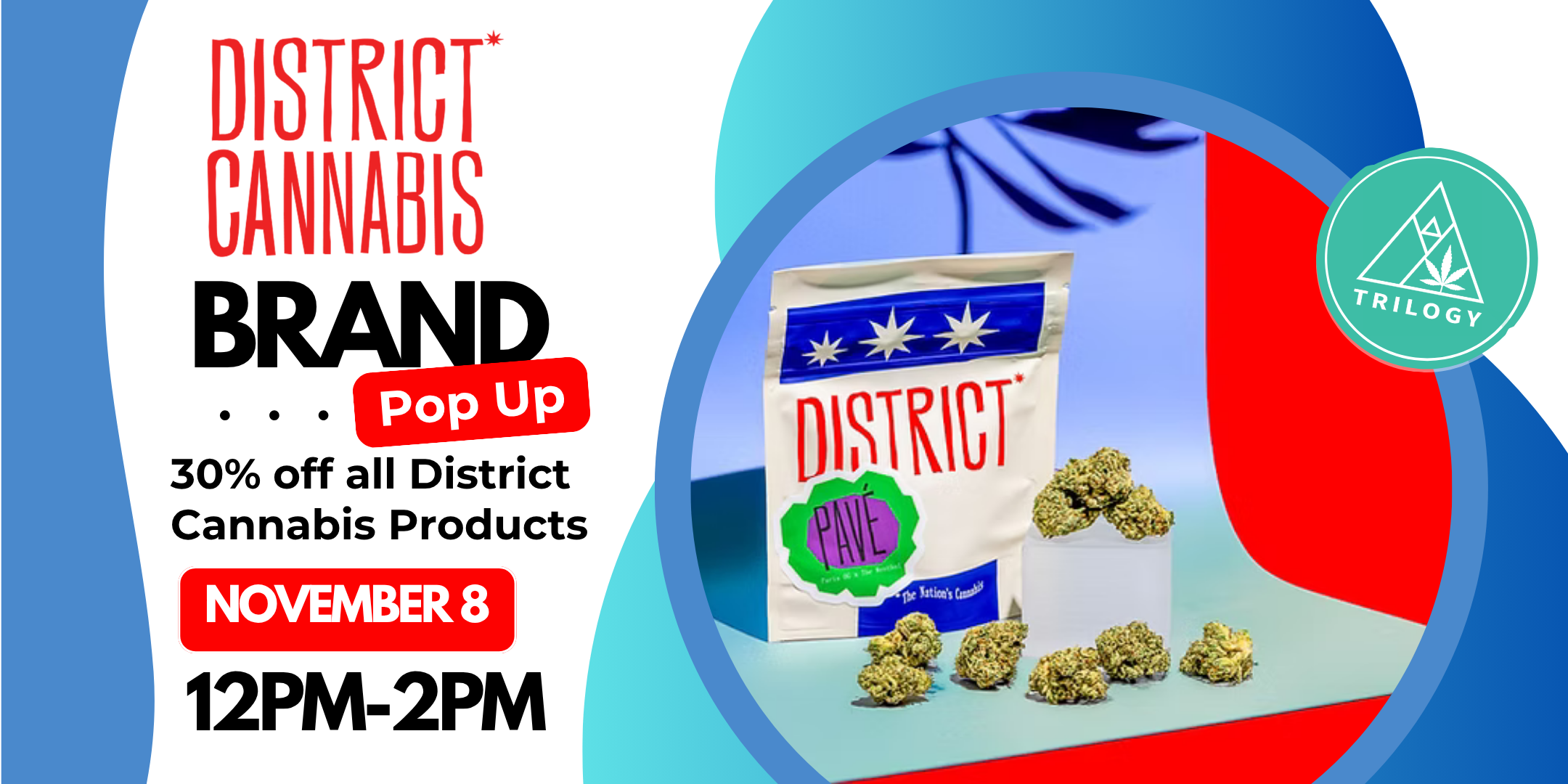 district pop up sat november 8 12pm - 2pm