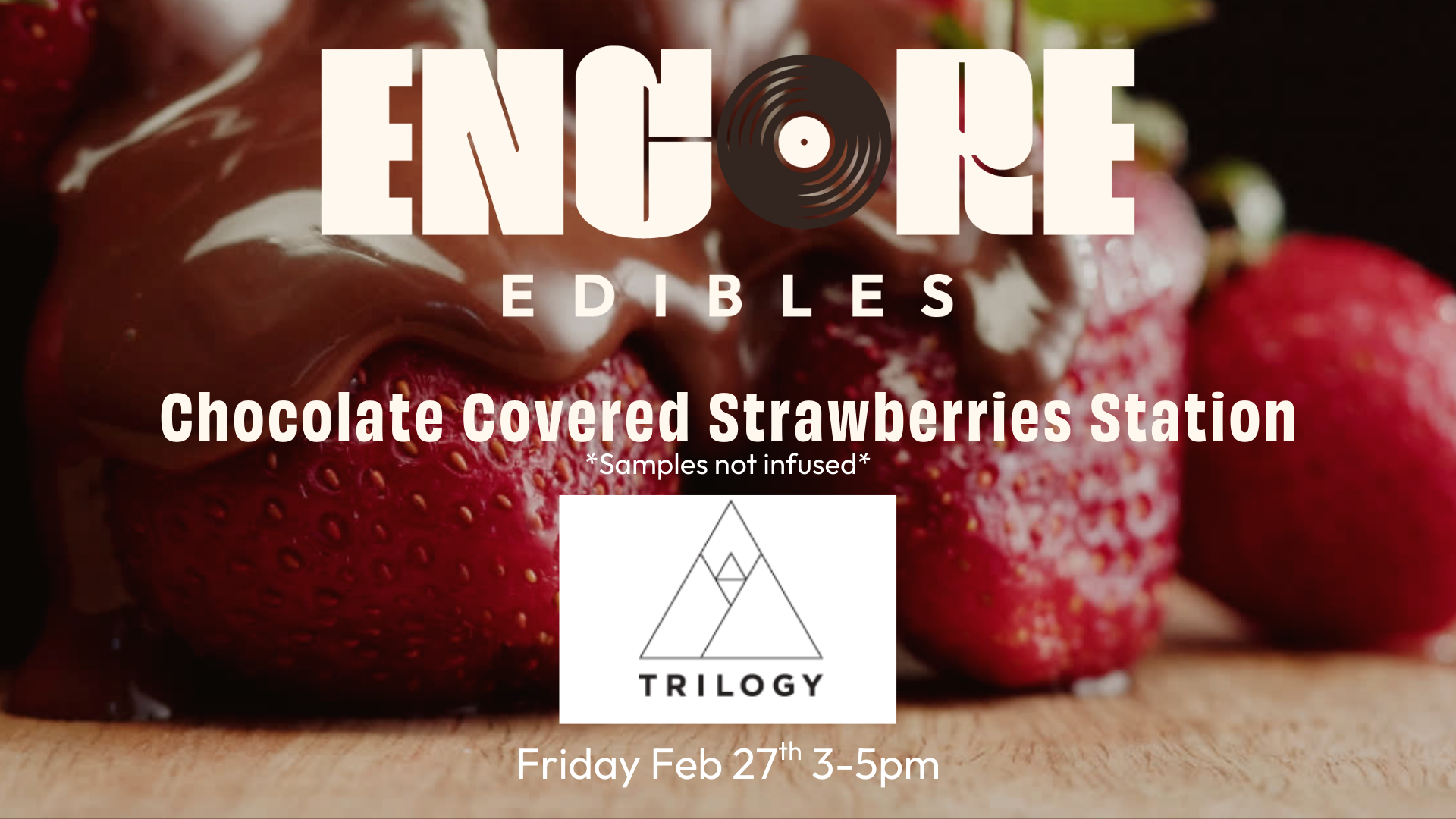 encore chocolate covered strawberry station and sale