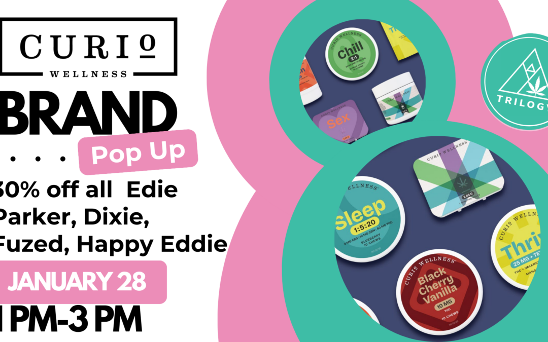 Curio Pop Up & Sale!