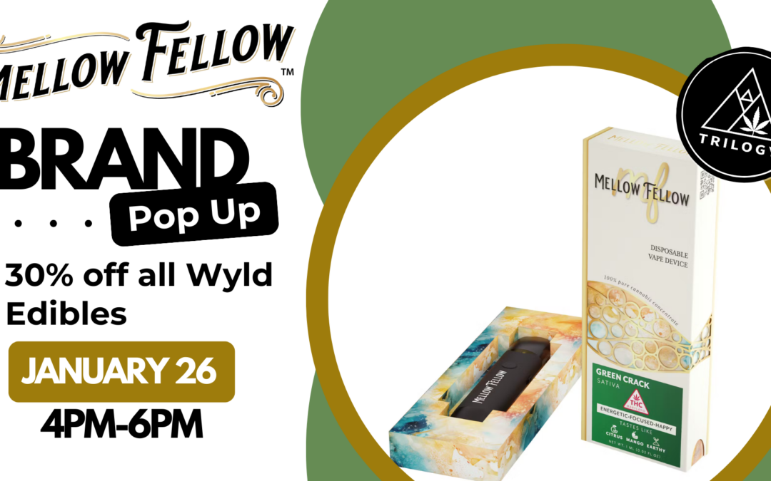 Mellow Fellow Pop Up & Sale!