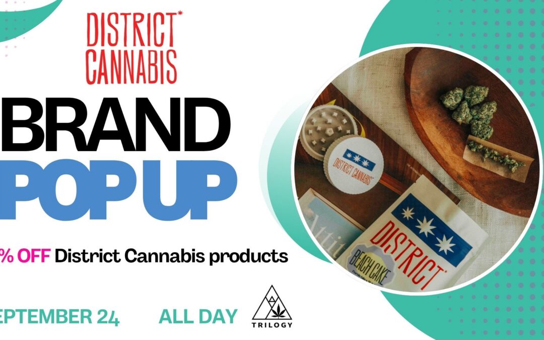 District Cannabis Pop Up