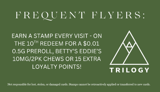 Blog (Frequent Flyer Card 2)
